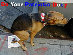 patriotic.jpg