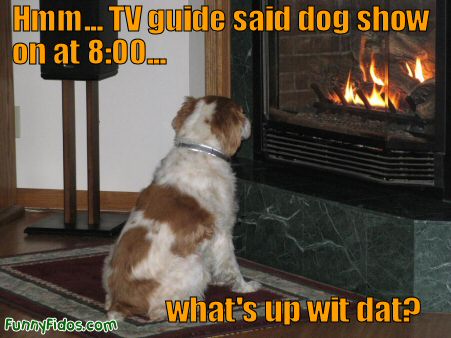 funny-dog-whats-up-wit-dat.jpg
