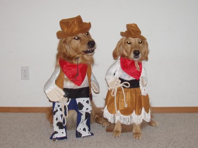 funny-dog-costume-cowboy.jpg