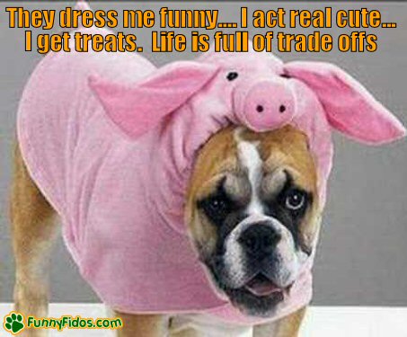 Funny Sign Offs on Funny Dog Picture Life Trade Offs Jpg