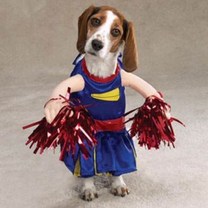 » Dogs Dressed Up